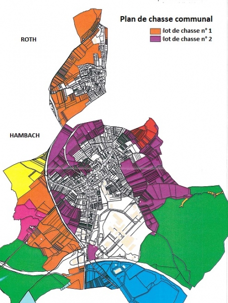 390-PLAN LOTS 1 et 2 de CHASSE.jpg 390-PLAN LOTS 1 et 2 de CHASSE.jpg