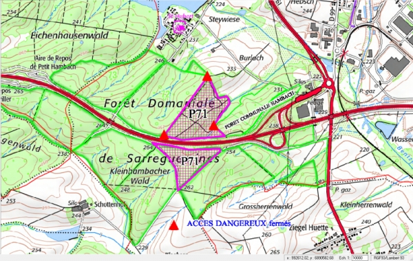 434-Coupe Forêt Domaniale P71.png
